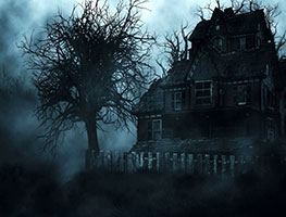 video-gallery-movies-post5