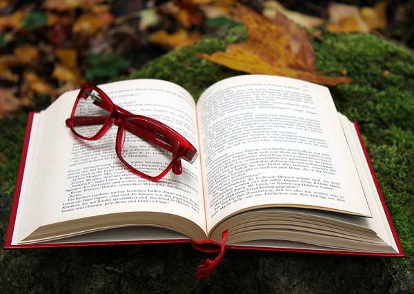 //preview.templatebundle.net/wp/book_store/wp-content/uploads/2018/10/about.jpg