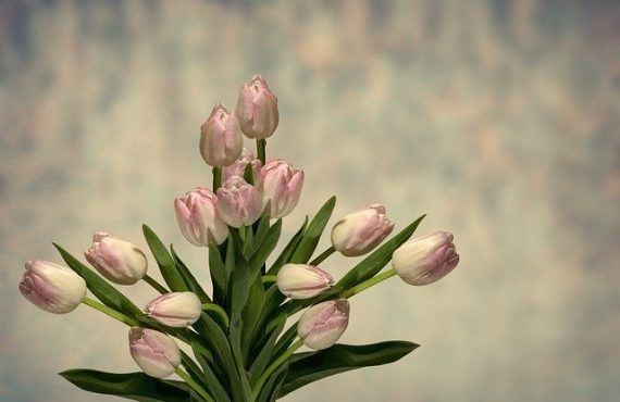 Post with Video