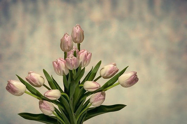 Post with Video