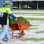 The Many Health Benefits of your Lawn
