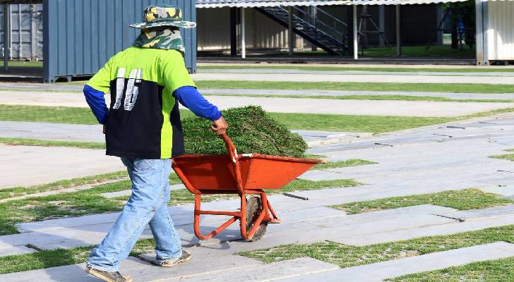 The Many Health Benefits of your Lawn