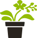 Urban Green Seeds