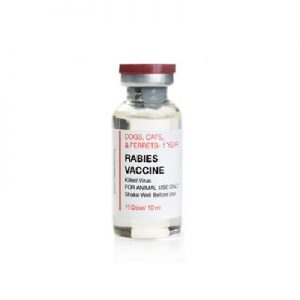 Rabies Vaccine