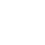 Guardianship