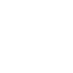 ms-image