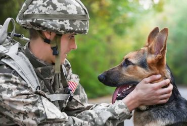ALL OF US SHOULD GET A TASTE OF MILITARY LIFE