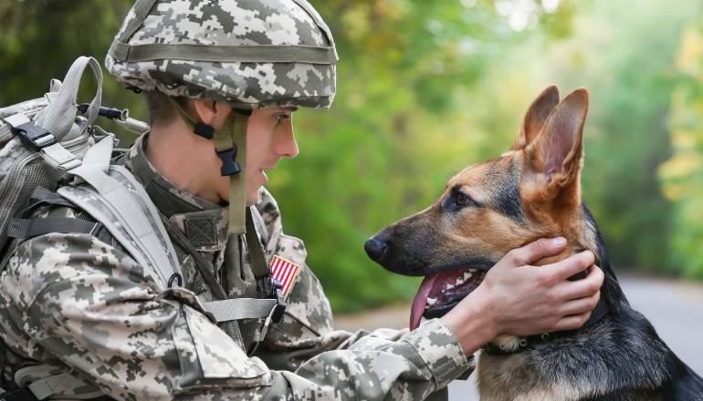 ALL OF US SHOULD GET A TASTE OF MILITARY LIFE