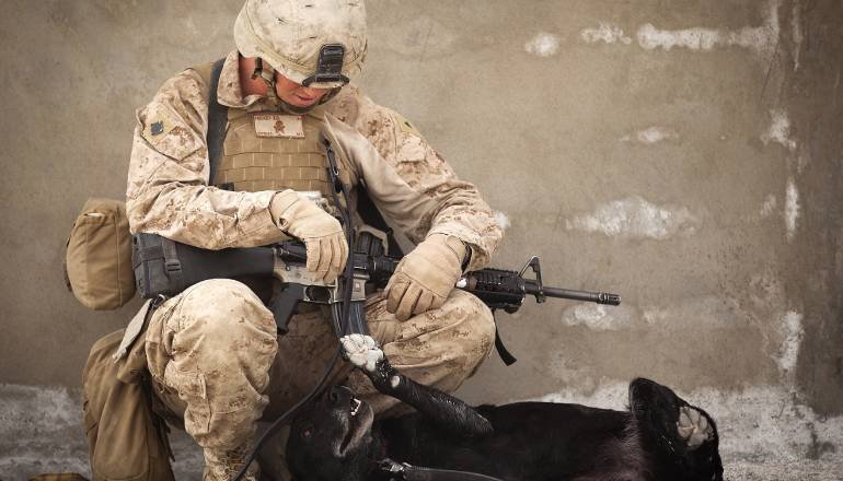 THE PROS AND CONS OF MILITARY SERVICE