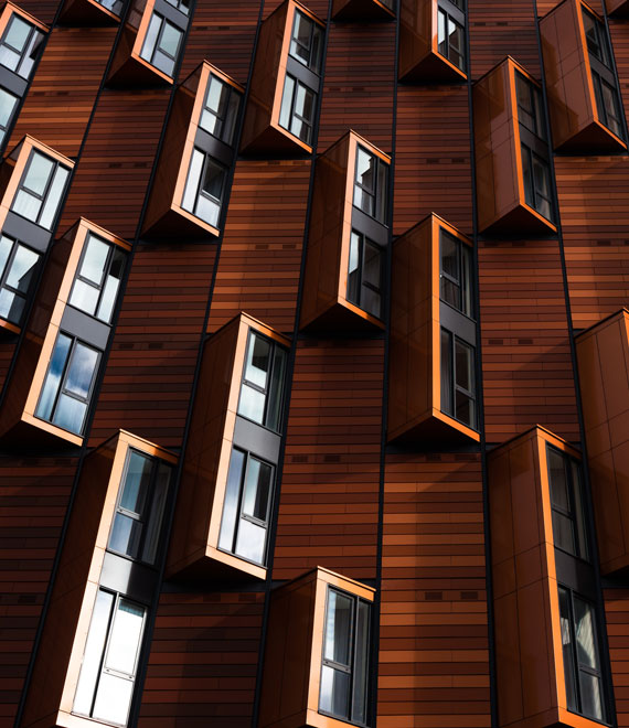 Bay Windows