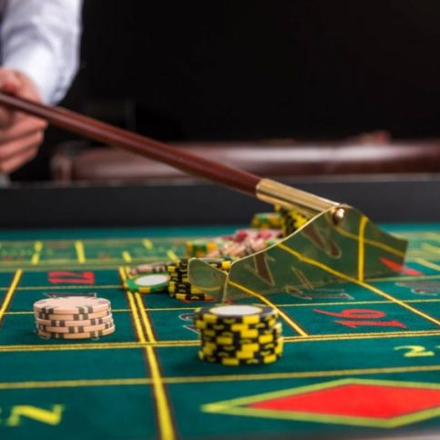 casino portfolio 8