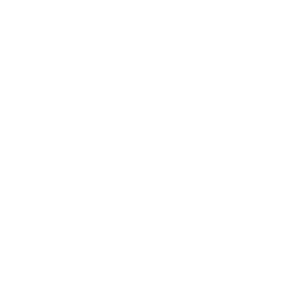 Image Missing