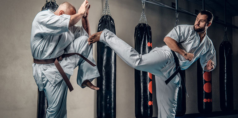 Most High Profile Martial Arts