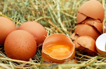 For  Incredible Egg