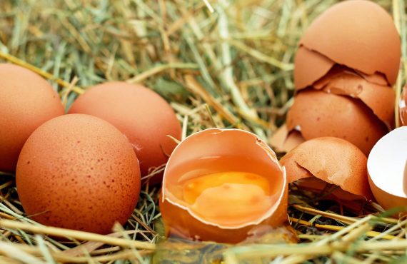 For  Incredible Egg