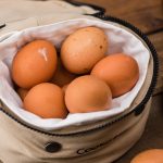Fresh Eggs Daily?