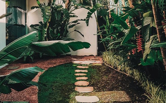 Garden Renovation