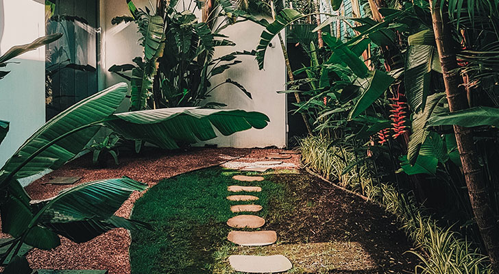 Garden Renovation