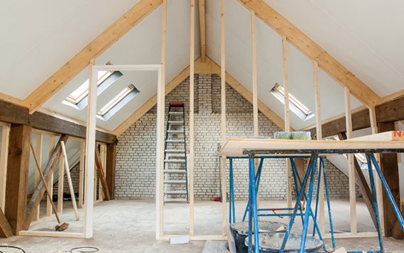 Interior Renovation