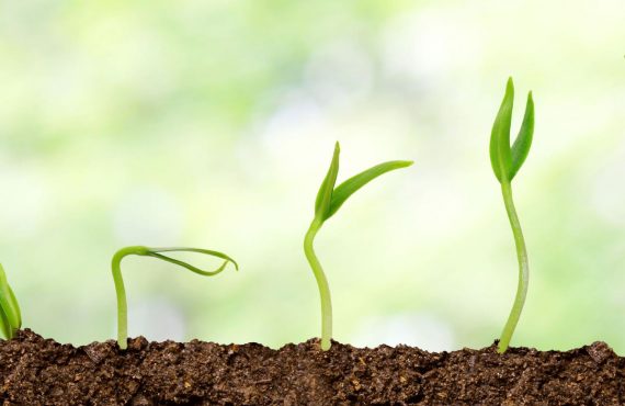 Organic And Its Advantages