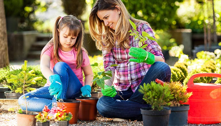 Garden Care