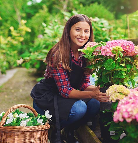 floriculture-request01