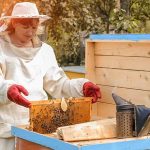Beekeeping Plans Ideas