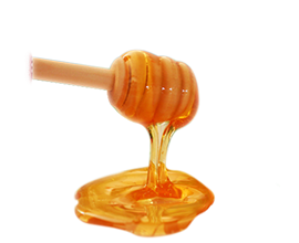 bee-grocery-4