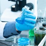 Exploring Anatomy in the Lab