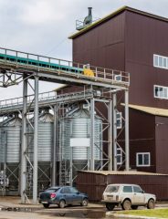 Animal Feed Marketing