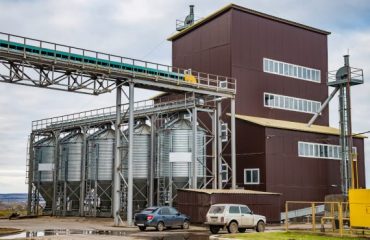 Animal Feed Marketing