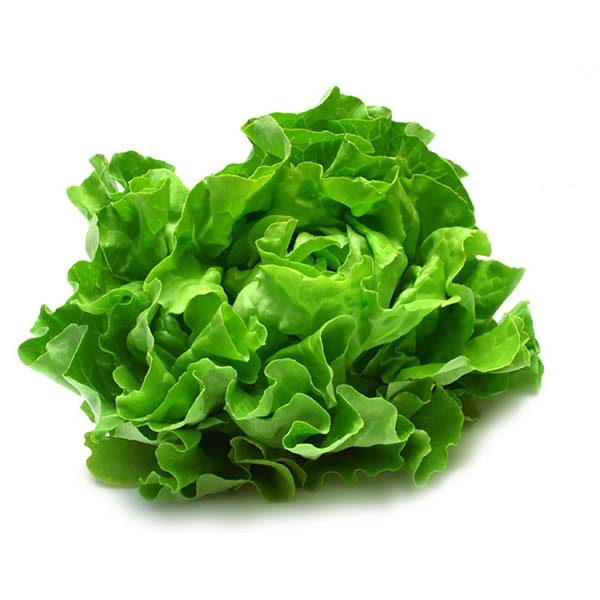 Celery