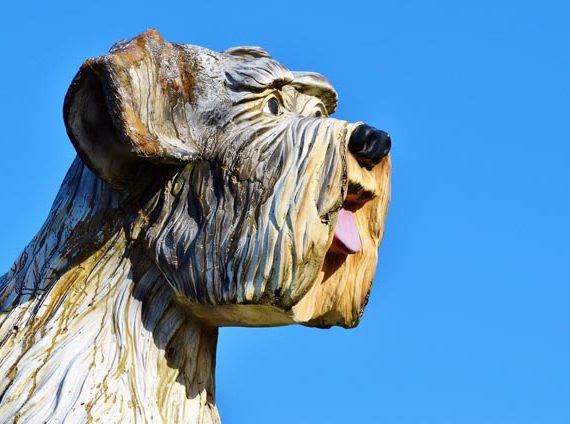 Tiger Wooden Statue