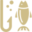 Image Missing