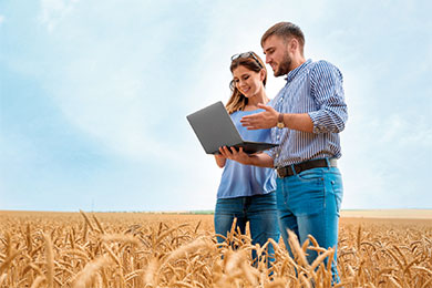 agriculture15