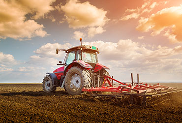 agriculture16