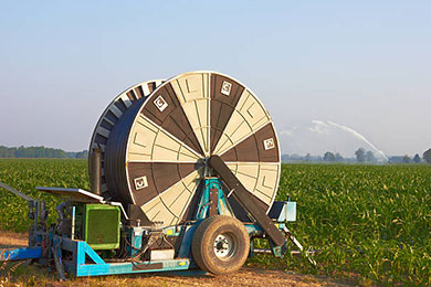 agriculture17
