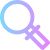 SEO Optimized