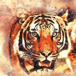 Wildlife tiger painting