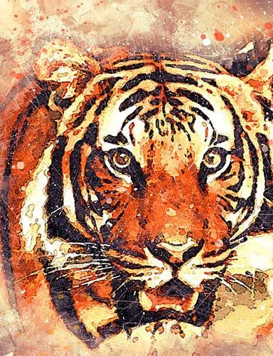 Wildlife tiger painting