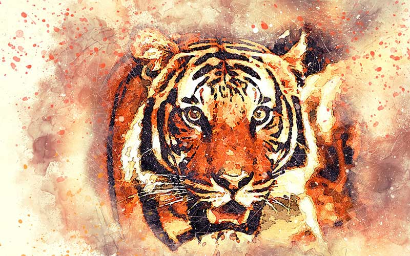 Wildlife tiger painting