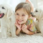 Pets are very intelligent animals