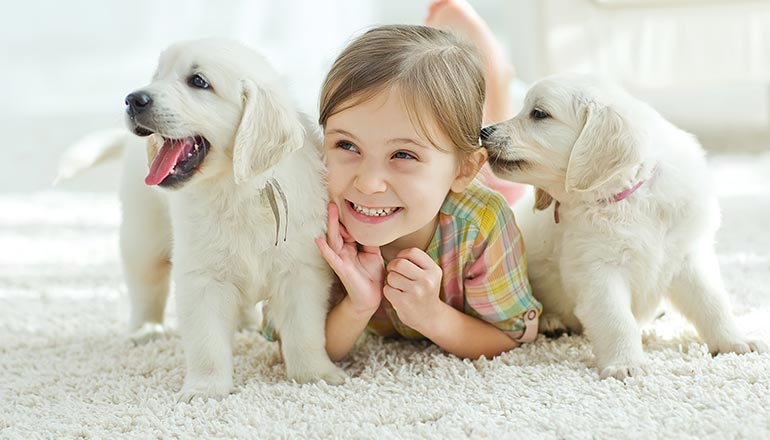 Pets are very intelligent animals