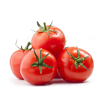 Tomato