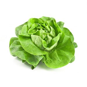 Cabbage
