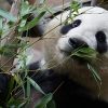 wild-zoo-gallery009
