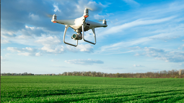 Agriculture viewing