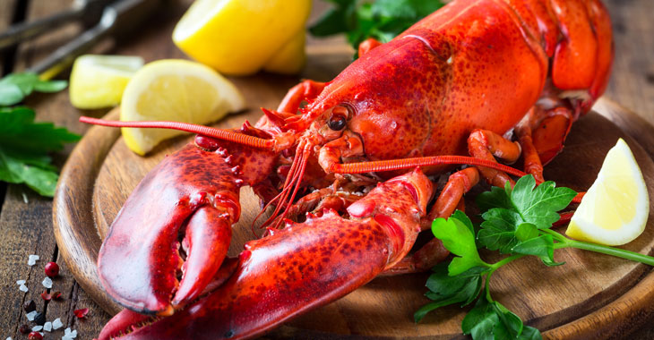 Premium Quality And Inpectable Taste
