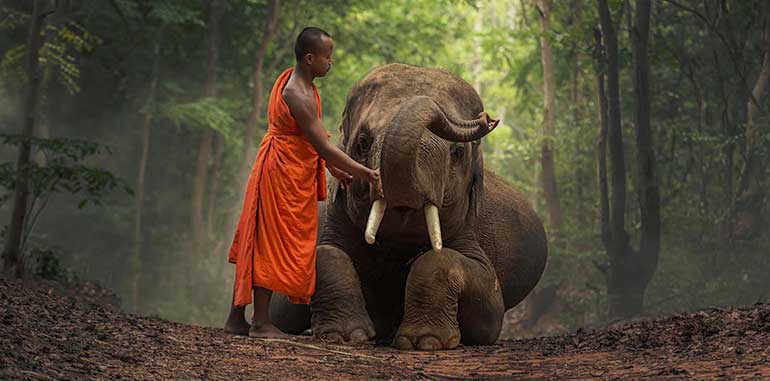 Also known as Burma, the country of Myanmar