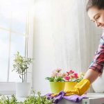 How to clean a living room in few minutes